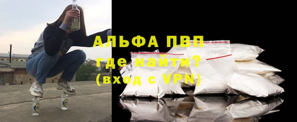 прущие грибы Карпинск