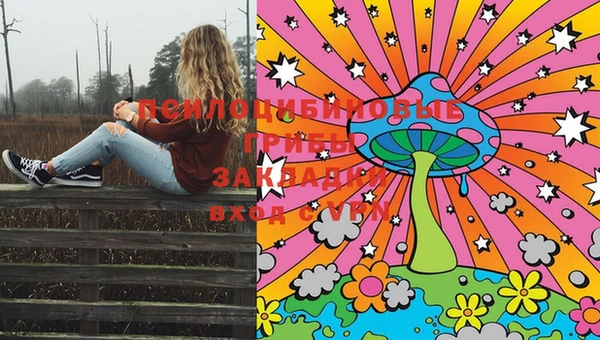 эйфоретик Кинешма