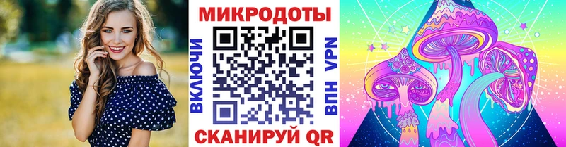 Купить  Верхний Уфалей  Псилоцибиновые грибы Psilocybe 